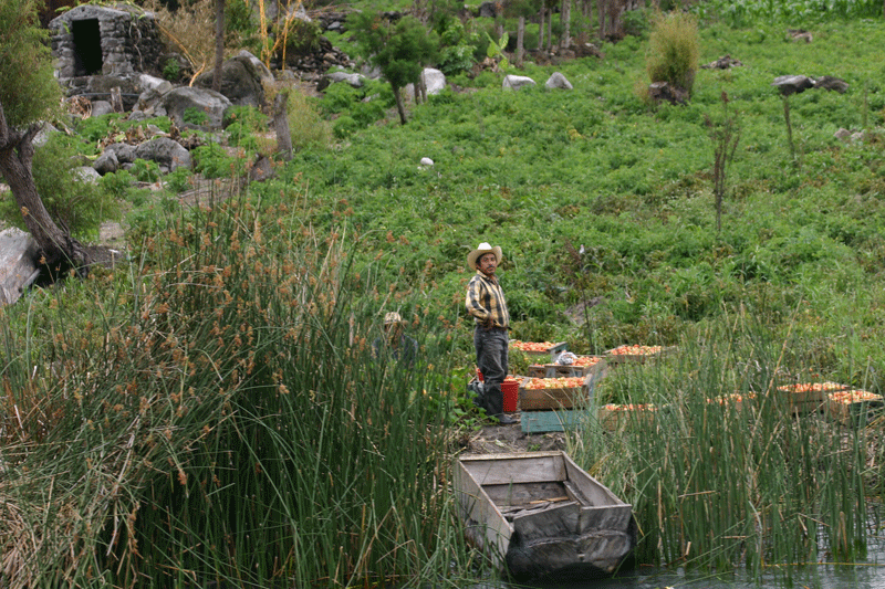 Pesca Artesanal Atitlan en Cayuco de madera