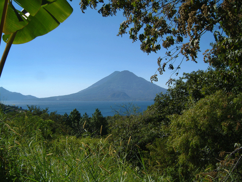 Tour del Cafe en Atitlan, volcanes, cafe organico y aromas